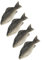 DIKACA 4 Stück Simulation Von Schaumfischen Anlage Realistisch Fischkuchendeckel Fisch Stofftier Kleine Fischfigur Künstlicher Fisch Rigs Gefälschter Fisch Aquarium Dark Grey