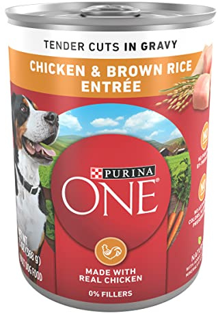 Purina ONE Chicken & Brown Rice Wet Dog Food, Tender Cuts, (12) 13 oz Cans