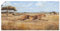 ARTland Wanddeko Poster & Kunstdrucke Wandposter 100 x 50 cm Tiere Wildtiere Raubkatze Malerei Braun Laufender Gepard A6QU