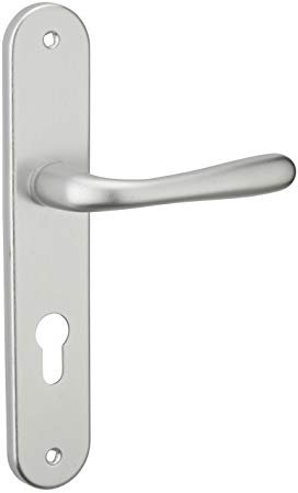 THIRARD - Ensemble de poignées pour porte d'entrée Pelope trou de cylindre, carré 7mm, entr'axes 195mm, argent