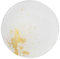 Syosaku Japon Verre Assiette plate Φ11-inch, passe au lave-vaisselle, blanc pur