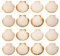 Finoly Coquilles Saint Jacques Naturelles Pack de 4/8/12/16 Unités | Coquille St Jacques pour Cuisson pour Cuisine Décoration Artisanat DIY (16)