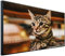 Ecowelle Infrarotheizung mit Bild | 750 Watt | 60x120 cm | Infrarot Heizung| | Made in Germany| b 92 Katze