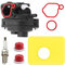 ZAMDOE Carburateur de tondeuse à gazon 799583 pour moteurs Briggs & Stratton 300E 450E 500E OVH 125cc 140cc 08P502 09P602 Series Remplace 591160 595656 591979 593261