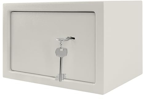 Aufun Tresor Möbeltresor mit Doppelbartschloss 31 x 20 x 20cm, Tresor und Schließfach, Geldkoffer, Safe Geldschrank Boden-Wandtresor Wandsafe ink. 2 x Schlüssel, Silber