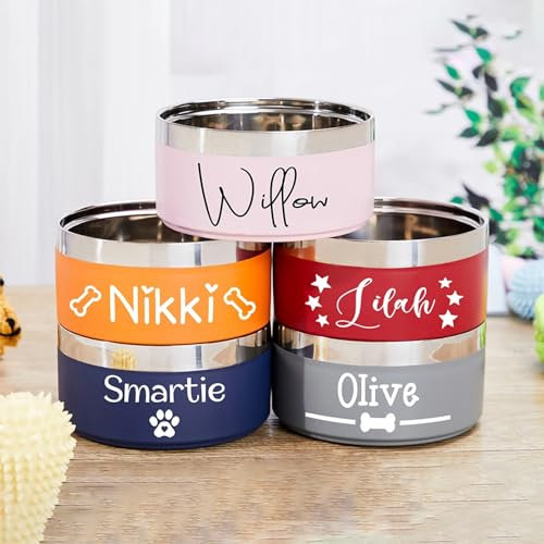 XFZDKJSD Bol coloré en acier inoxydable personnalisé avec nom personnalisé pour chien et chat - Bol de nourriture pour chat (18 cm)