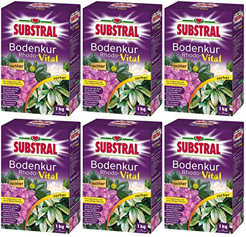 6 x 1 kg Substral Rhodo-Vital Bodenkur, NPK-Dünger 5-4-7,5