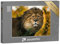 puzzleYOU: Puzzle 500 Teile „König der Löwen: Porträt“ – aus der Puzzle-Kollektion Löwen, Raubtiere, Tiere in Savanne & Wüste