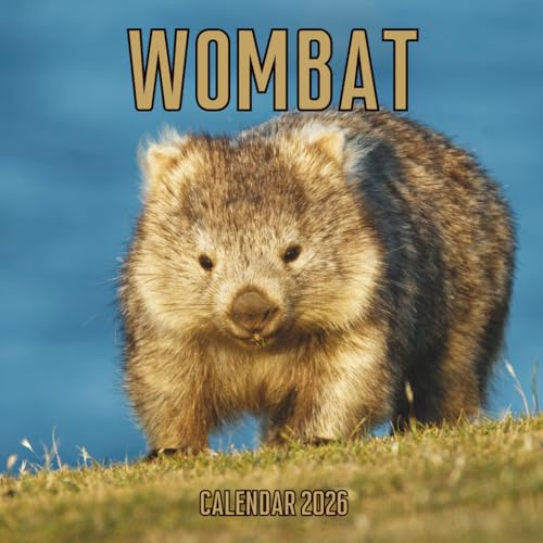 Wombat Calendar 2026: 14-Month Organizer from Nov 2025 to Dec 2026 | Perfect for Home, Office, School & Family Scheduling, For Men , Women , Girls , Boys