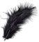 KnorrPrandell 6619614 Marabufedern, 10 cm, schwarz
