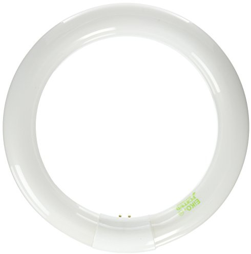 Eiko FC8T9/D Day Light Circline T-9 G10Q Base Halogen Bulb, 22W