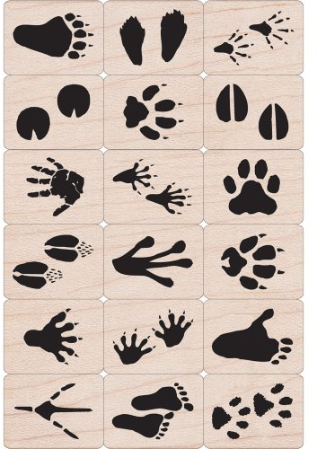 Hero Arts USA Produkt Ink 'n Stempel Tub-Animal Prints