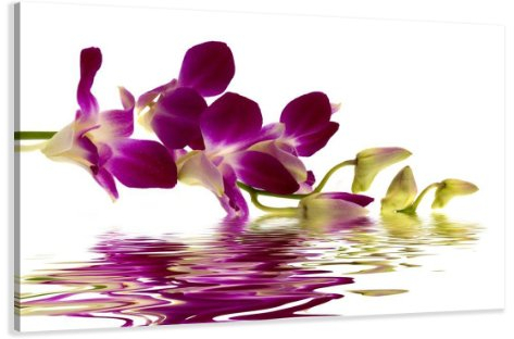 Visario Bild Leinwand Orchidee Nr 4132 80 x 60 cm Leinwand Bild Wanddeko hochwertig Wohnzimmer Büro Druck
