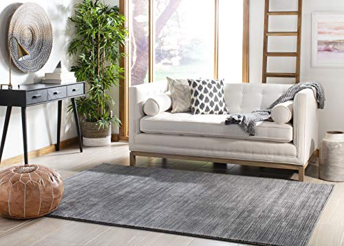 SAFAVIEH Vision Area Rug 4x6, Modern Tonal Grey VSN606D