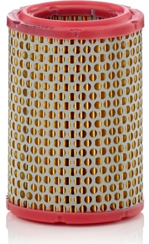 MANN-FILTER, C 1134/1 Luftfilter | Für PKW, Saubere Luftzufuhr, Langlebiges Filtermedium, Passgenaues Design, Echte OE-Technologie