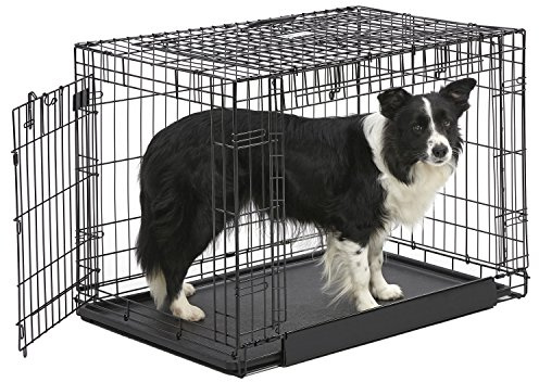 MidWest Homes for Pets Intermediate Ovation Double Door 91 cm Folding Metal Dog Crate, Front and Up & Away Side Doors, Space-Saving Design