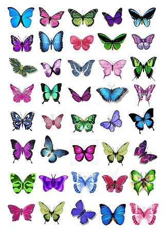 Cakeshop 40 x Essbare Bunte Schmetterlingskuchen Topper (Tortenaufleger, Bedruckte Oblaten, Oblatenaufleger)