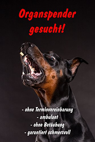 Melis-Folienwerkstatt Schild Warnschild Achtung Dobermann – Organspender gesucht – Hund Hundeschild 30x20cm Hartschaum Aluverbund -S25R