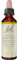 Original Bachblüten Tropfen Nr. 35 White Chestnut: Geistige Ruhe & klare Gedanken mit Bach-Blüte Weiße Kastanie, 20ml