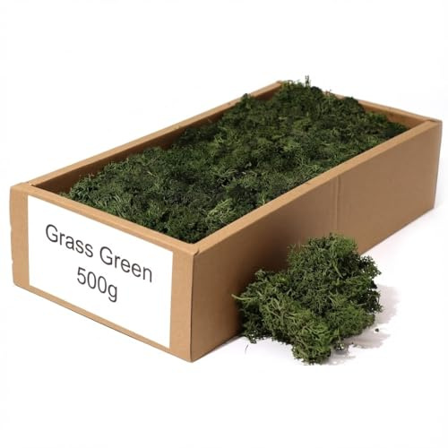 floral supplies Stabilised Reindeer Moss – Preserved Lichen for Model Scenery, Railway Landscapes, Terrariums, Floristry & Art Crafts – Soft Texture & Maintenance Free (Grass Green)