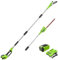 Greenworks - Poste de 40 V, 8 Pulgadas, batería de 2.0 Ah (Gen 1)