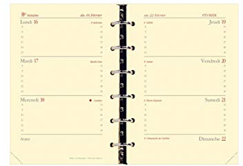 Quo Vadis 938004Q Nachfüllung für Terminkalender Timer 14 Horizontal (2018/2019)