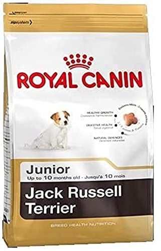 ROYAL CANIN Jack Russel Junior 3 kg, 1er Pack (1 x 3 kg)