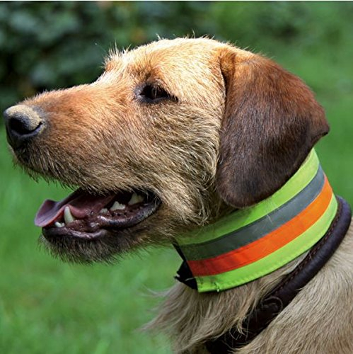 Signal- und Warnhalsung reflektierend, 3-Farbiges Halsband AKAH, Größen Halsband reflektierend:45 cm Halsumfang