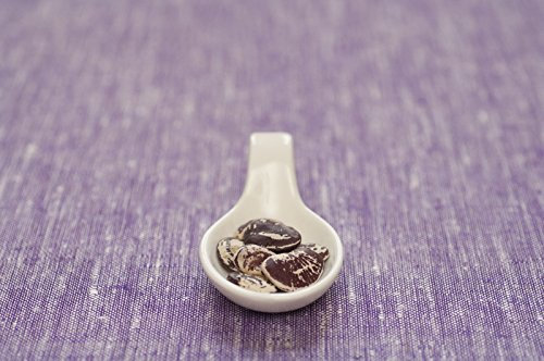 20 semillas certificadas de Navidad Orgánica Garrofón ~ Aka gran planta Calico manchada