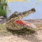 Design Toscano Mampfer Wird Dich erwischen, Schnappender Krokodilkopf, Gartenfigur, 2-er-Set, Kunstharz, Mehrfarbig, 16.5 x 32 x 24 cm