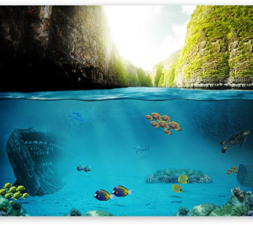 murando - Vlies Fototapete Unterwasserwelt 350x256cm Foto Tapete Wohnzimmer Vliestapete XXL Motivtapeten Bildtapete 3d Effekt Wand Dekoration - Natur Fisch blau grün Kinderzimmer c-A-0020-a-a
