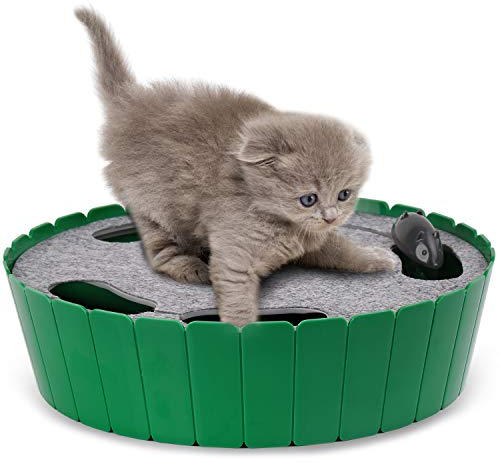 Pawaboo Katzenspielzeug Elektrische Maus, Interaktiv Kätzchen Spielzeug Katzenbett Kratzmatte Katzenminze, Süß und Sicher Spielzeug Spielball für Kleine Katze Spiel Beißen Kauen - Grün