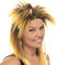 Fancy Dress Tina Wig Adult Size