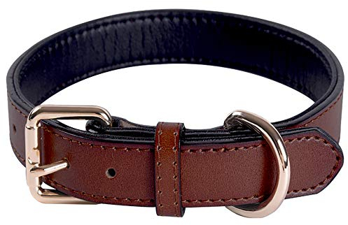 Echthaustierleder-Verstellbares Hundehalsband mit weichem, dickem Polster, am besten geeignet für kleine, mittlere und große Hunderrassen (Braun) (Größe Klein)