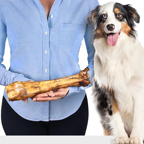Premium Rinder-Unterbein für Hunde | Natürlicher Kauknochen aus Rindfleisch