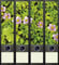 File Art AJ010 Design Etiketten Ordnerrückenschilder