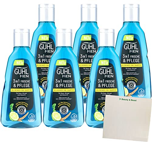 Guhl Men Shampoo 3in1 Frische & Pflege 6er Pack (6x250ml Flasche) + usy Block