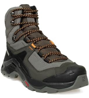 SALOMON Herren Shoes Quest Element GTX Bootsschuh, Pewter Beluga Buckskin, 45 1/3 EU