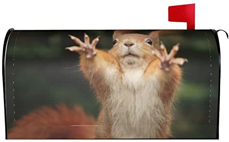 Briefkasten-Abdeckung mit lustigem Eichhörnchen-Tier trifft, magnetisch, Standardgröße, wasserdicht, Briefkasten-Abdeckung, Übergröße, Dekoration, Willkommen zu Hause, Garten, Outdoor, 64,9