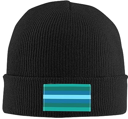 501 Beanie Mütze LGBT-Bi-Gay-Flagge Schwarz Wintermütze Bequeme Cuffed Hats Klassisches Beanie Hat Für Laufen Wandern Fischen