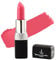 Lipstick Rich Pigmented and Creamy Lipstick Moisturising Vegan and halal Lipsticks (17 Dusty Rose)