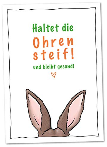 bernsteinfee-CARDS 10er Postkarten Set Ostern Haltet die Ohren steif und bleibt gesund - Karten für Ostergrüße mit Wünschen für fröhliche Ostern und vor allem Gesundheit (10 Stück)