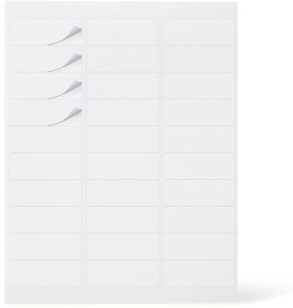 Amazon Basics Etichette per indirizzi stampabili, 2,5 x 6,5 cm, 3000 etichette vuote per spedizioni