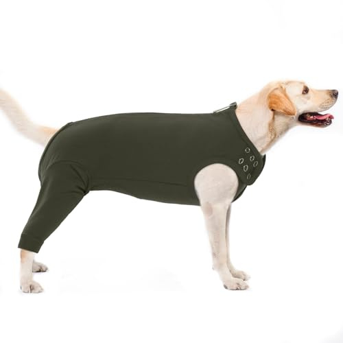 Body für Hunde Nach Op, Leckschutz Body Nach Op Hündin Beinschutz Hunde Hinterbeine Hinterbeinschützer Hund Liegeschwielen Schutz Recovery Suit Hundebody mit Reißverschluss Hinten(Moosgrün, XL)