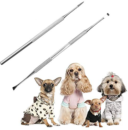 Zahnstein-Entferner für Hunde, 2 Stück Edelstahl Mundwerkzeug Zahnhygiene-Set für Hunde