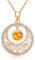 PARYFO Bernstein Sonne Halskette 925 Sterling Silber Sonne Anhänger Roségold vergoldet Anhänger Halskette Bernstein Schmuck Geschenke für Frauen Mädchen, Sterling Silber
