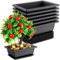 YOFAPA 6er-Pack Bonsai-Topf, Plastik-Blumentopf, rechteckig, Bonsai-Schale mit Tabletts, geeignet für Gärten, Innenhöfe, Büros, Wohnzimmer, Balkone