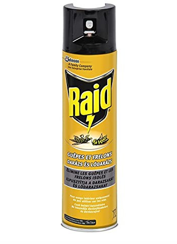 RAID - Aérosol Guêpes Frelon 300Ml - Lot De 3 - Vendu Par Lot