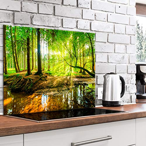 murando Crédence Cuisine en Verre Trempé - Plaque Anti-Projection 80x60 cm | 4 mm, Anti-Éclaboussures, Résiste à la Chaleur, Facile à Nettoyer, Déco Moderne, Paysage Natur Forest