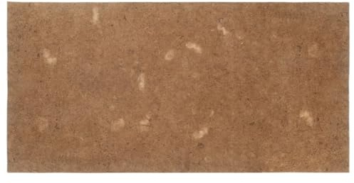 vidaXL Matratzenauflage 90x200 cm Kokosfasern